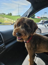 Take us home, numba one.