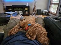 Feeling comfortable, passed out.