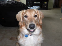 Somebody is excited to go on a road trip!